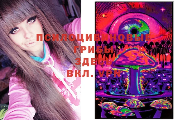 гашик Алзамай
