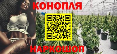 крисы Аргун