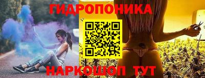крисы Аргун