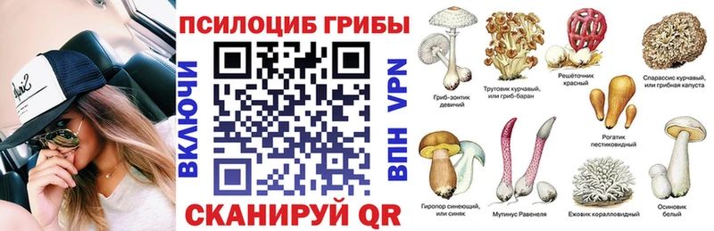 Псилоцибиновые грибы прущие грибы  Амурск 