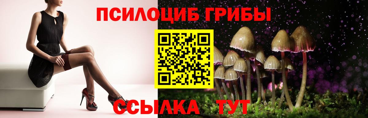 Галлюциногенные грибы мицелий Амурск